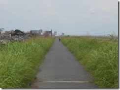 八広へ荒川土手